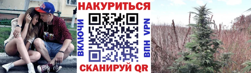 Бошки марихуана тримм Михайлов